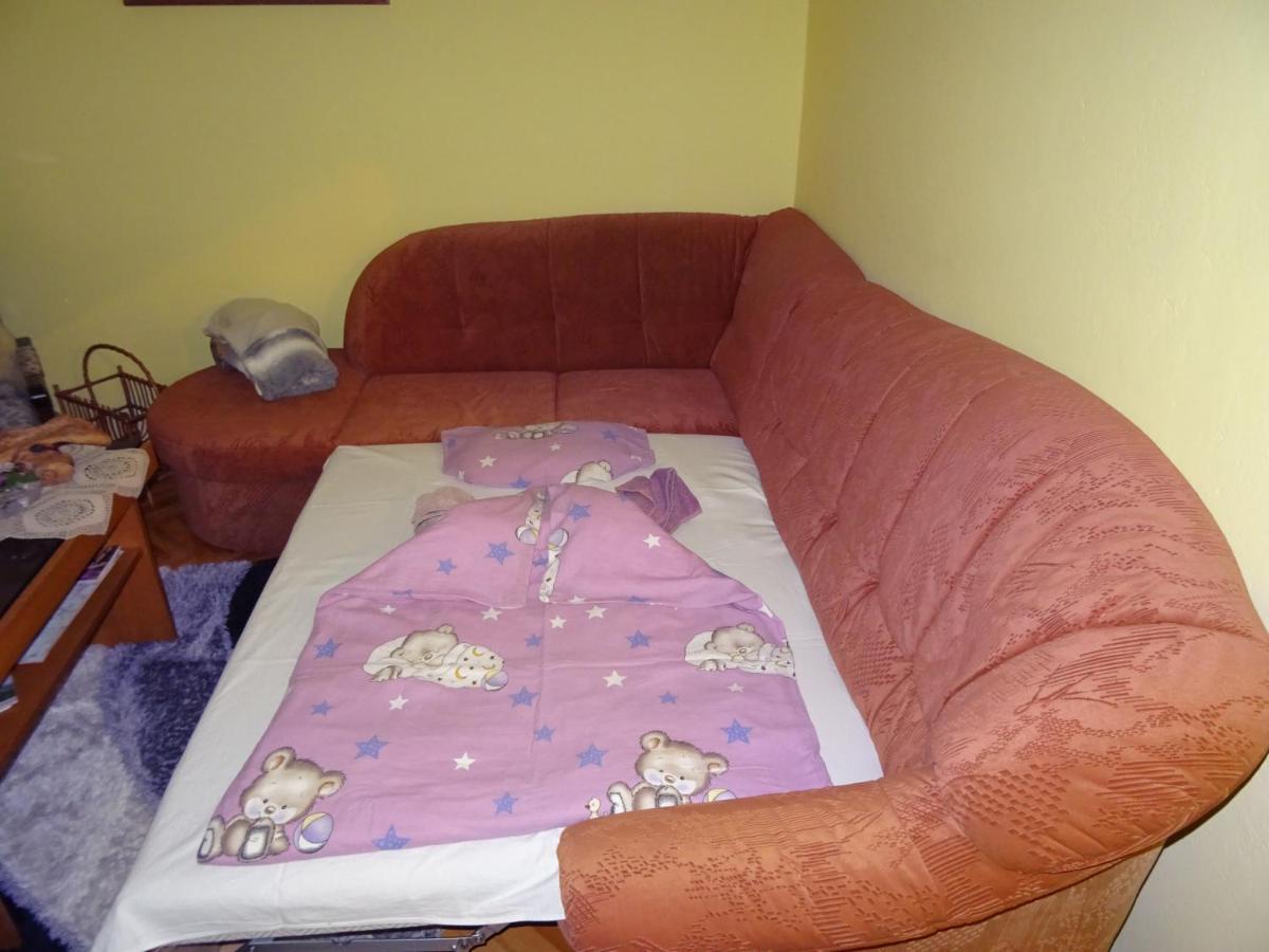 Apartment Tjasa Радовлица Экстерьер фото