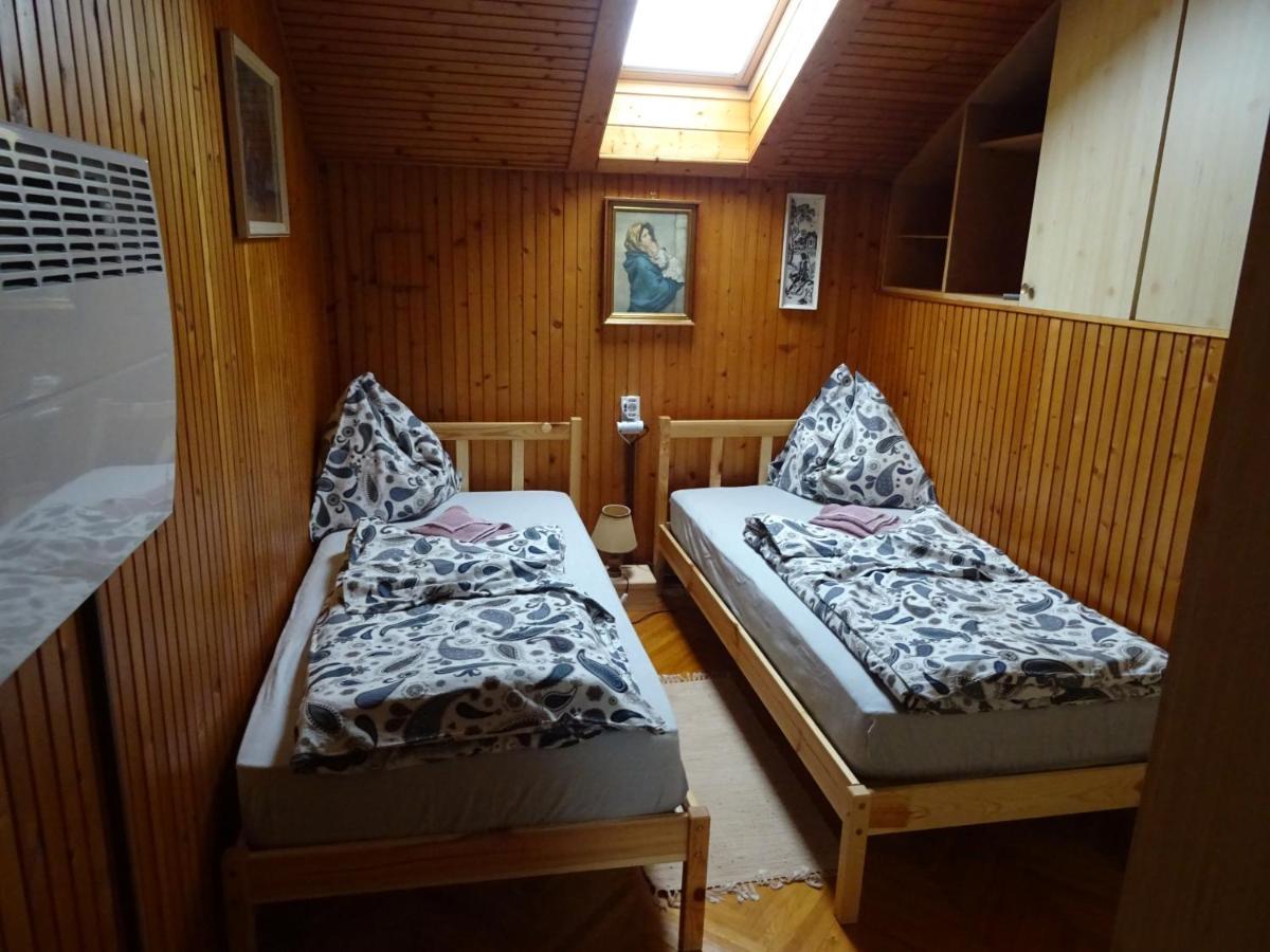 Apartment Tjasa Радовлица Экстерьер фото